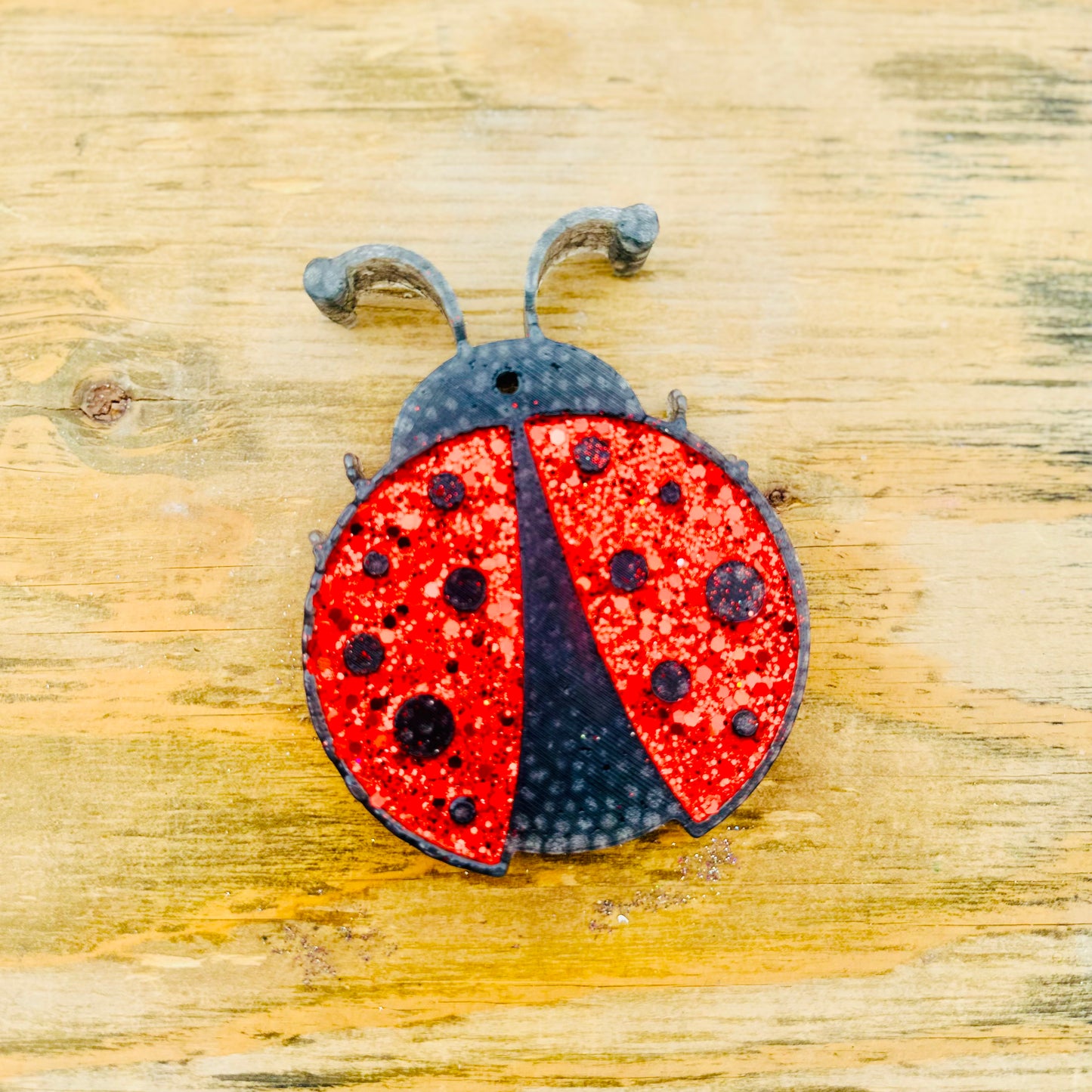 **Custom** Lady Bug Car Freshie